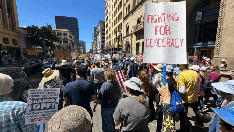 Protestors